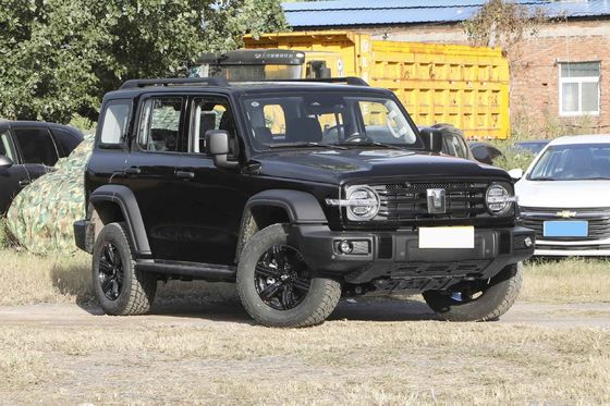  300 Young People Automatic Fuel Powered Car 5 Seats High Speed