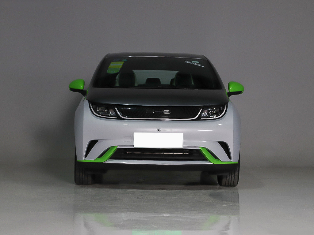 Durable Compact Electric SUV 401KM Knight Edition BYD Dolphin EV